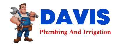 Trusted plumber in PERALTA